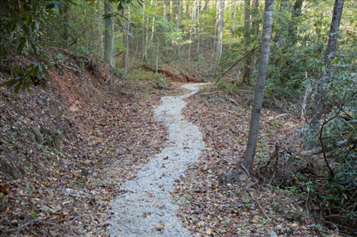 Buck Mountain Hiking